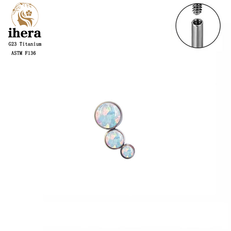 Brinco de Titânio G23 Redondo  - Body Jewelry Lip Ring avaliação e preço